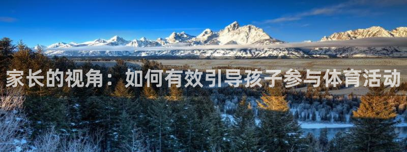 速球体育官网入口