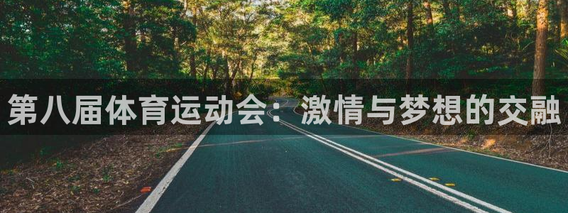 速球体育app最新版