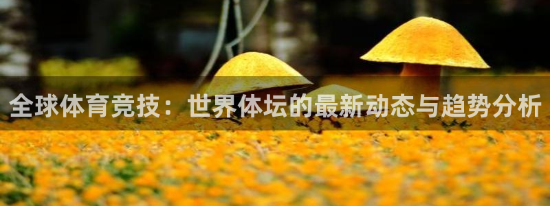 速球体育app：全球体育竞技：世界体坛的最新动态与趋势分析