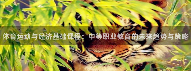 速球体育app最新版