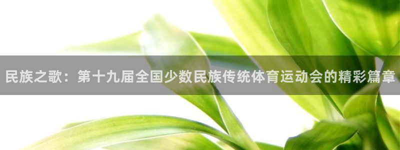 速球体育app官网入口