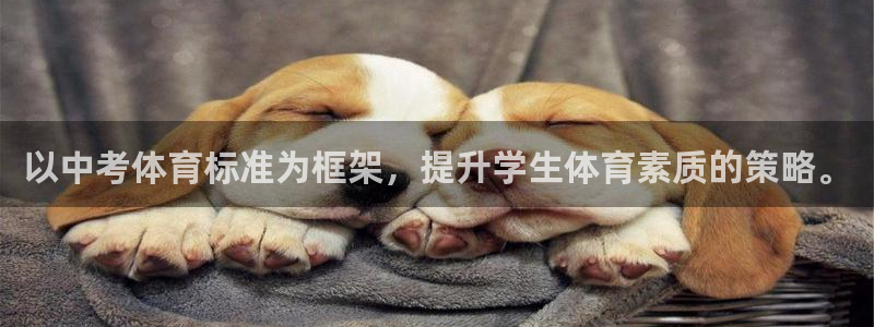 速球体育官网下载