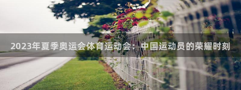 速球体育官方版下载