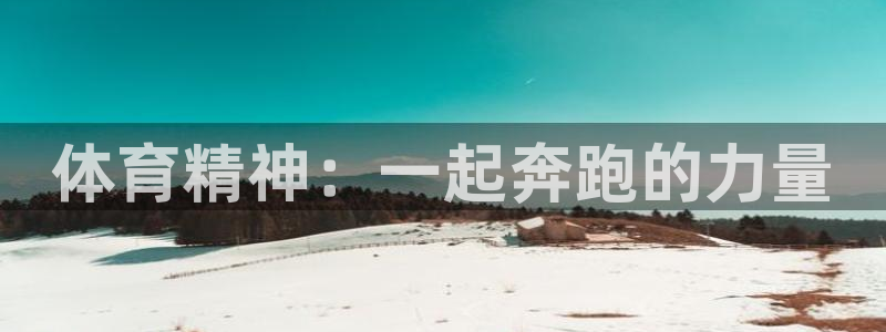 速球体育app最新版