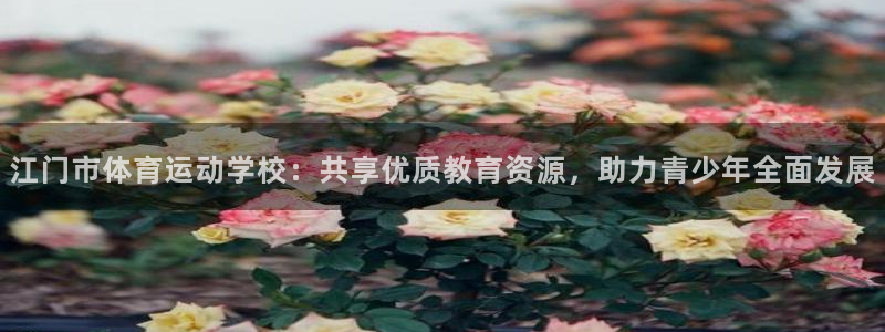 速球体育官方入口地址