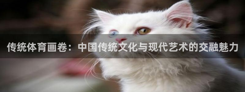 速球体育app最新版：传统体育画卷：中国传统文化与现代艺术的交融魅力