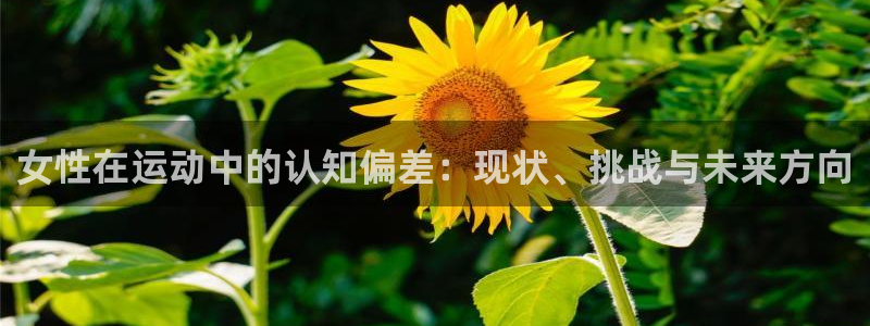 速球体育官网入口：女性在运动中的认知偏差：现状、挑战与未来方向