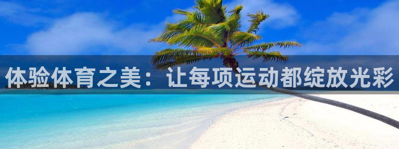 关键词：体验体育之美：让每项运动都绽放光彩