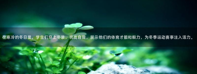 速球体育官网下载：在寒冷的冬日里，学生们穿上冬装，挑战自我，展示他们的体育才能和毅力，为冬季运动赛事注入活力。